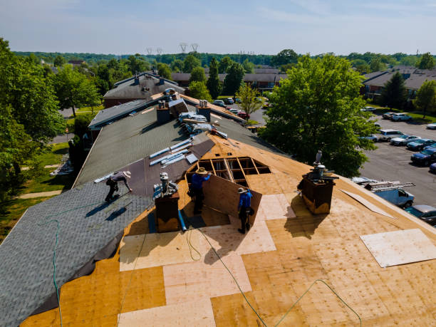 Best Flat Roof Repair Services  in Urbana, IL