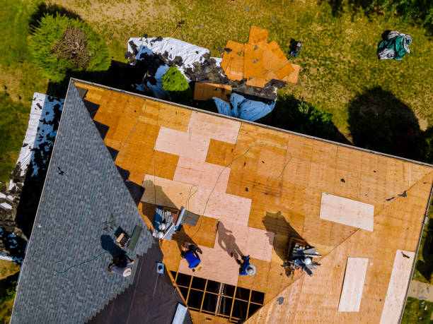 Best Metal Roofing Contractor  in Urbana, IL