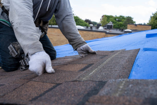 Best Storm Damage Roof Repair  in Urbana, IL