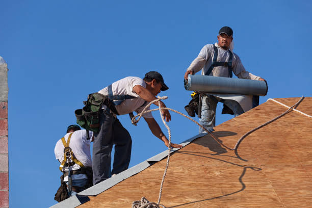 Best Roof Waterproofing Services  in Urbana, IL