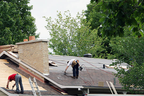 Best Metal Roofing Contractor  in Urbana, IL