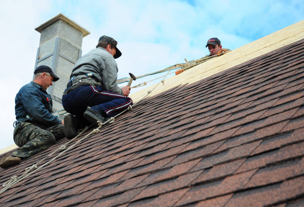 Best Shingle Roofing Installation  in Urbana, IL